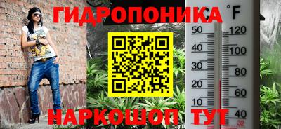 ешки Абакан