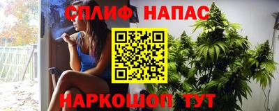 ешки Абакан