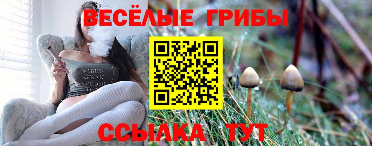 Псилоцибиновые грибы Cubensis Анжеро-Судженск