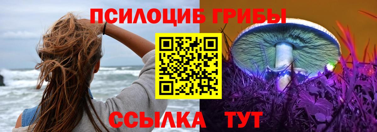 Галлюциногенные грибы GOLDEN TEACHER  Галлюциногенные грибы прущие грибы  Анжеро-Судженск  Вход с VPN 