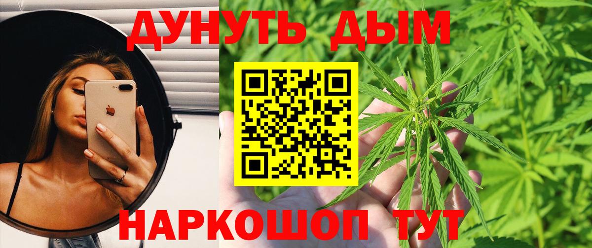 Бошки марихуана Amnesia Анжеро-Судженск