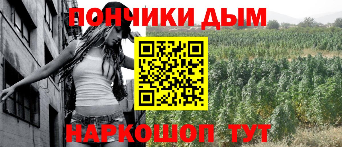 Бошки Шишки ГИДРОПОН  Шишки марихуана MAZAR  Марихуана White Widow  Каннабис тримм  Анжеро-Судженск  Вход с VPN 